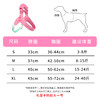 Y字狗狗胸背带中小型犬比熊泰迪新款提手马鞍狗胸背带遛狗固定带 商品缩略图1