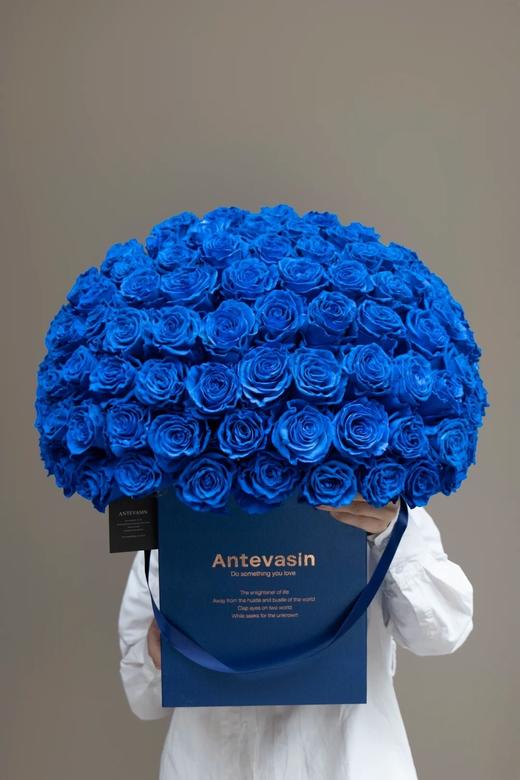 厄瓜多尔进口染色玫瑰rose blue蓝色妖姬克莱因蓝10支 商品图2