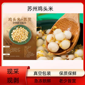 【低脂膳食】初乡农品 鸡头米 中颗粒500g/包 口感Q弹粒粒饱满