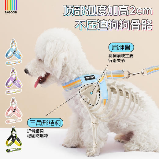 新款V型狗狗胸背带遛狗防挣脱狗狗胸带比熊博美外出神器宠物用品 商品图0