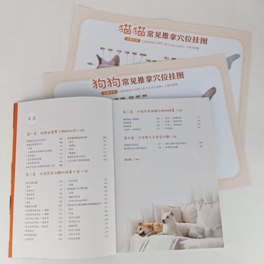 猫狗推拿大图册（配手法演示视频） 商品图3
