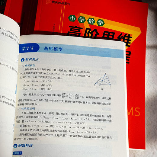 小学数学高阶思维培养教程 几何 计数 计算 数论 行程 应用题 拔尖筑基系列 数学思维能力训练 商品图12