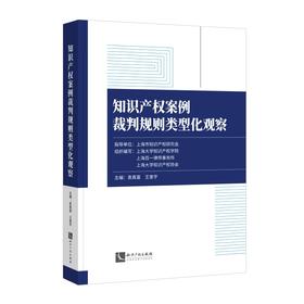 知识产权案例裁判规则类型化观察