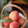龙泉驿  小白凤水密桃 商品缩略图1