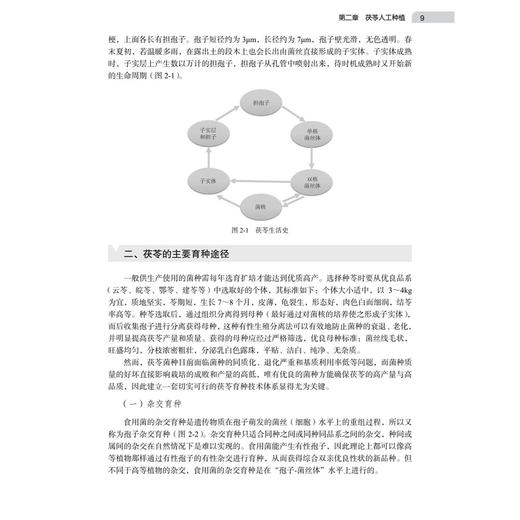 道地药材云茯苓 俞捷 杨兴鑫 李学芳 主编 本书全面梳理了茯苓作为传统中药与重要生物资源的研究脉络及创新应用 科学出版社 商品图4