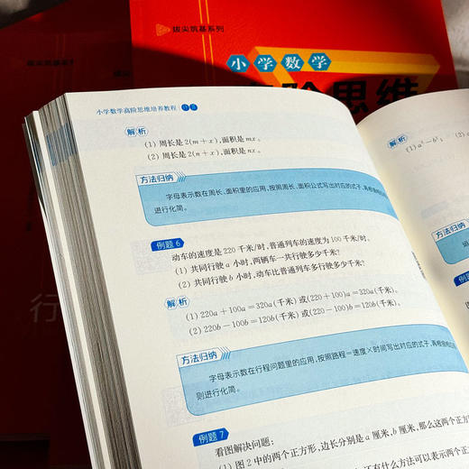 小学数学高阶思维培养教程 几何 计数 计算 数论 行程 应用题 拔尖筑基系列 数学思维能力训练 商品图6