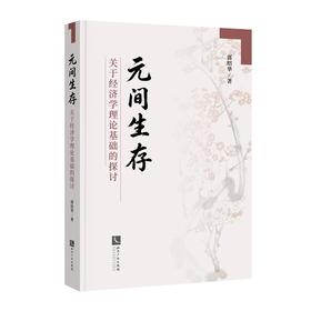 元间生存：关于经济学理论基础的探讨