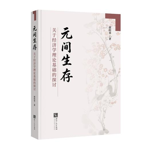 元间生存：关于经济学理论基础的探讨 商品图0
