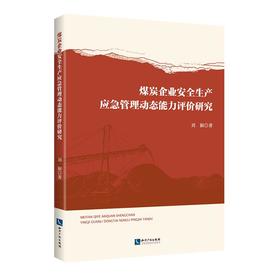 煤炭企业安全生产应急管理动态能力评价研究