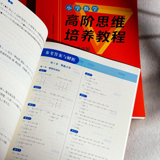 小学数学高阶思维培养教程 几何 计数 计算 数论 行程 应用题 拔尖筑基系列 数学思维能力训练 商品图7