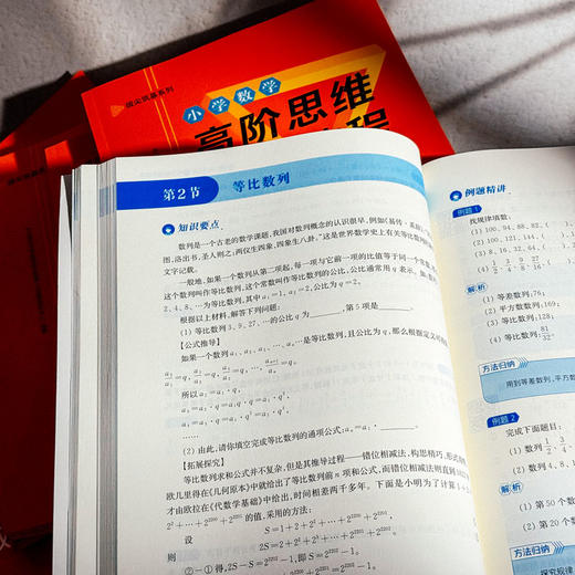 小学数学高阶思维培养教程 几何 计数 计算 数论 行程 应用题 拔尖筑基系列 数学思维能力训练 商品图5