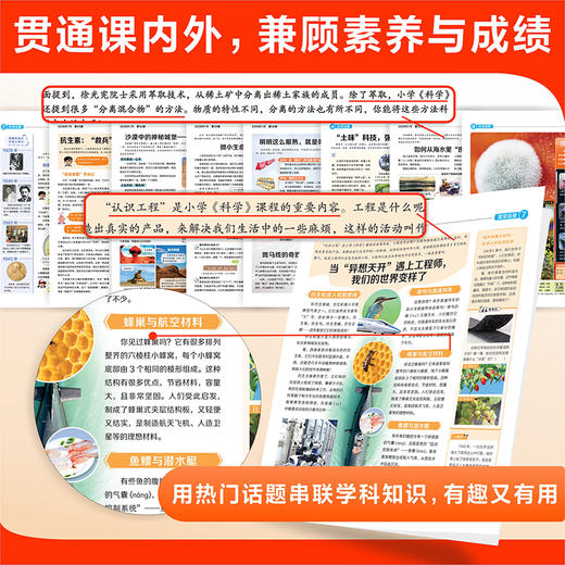《少年科普画报》全年52期 小学生百科科学素养报大语文全国通用新课标【悦刊图书】 商品图2