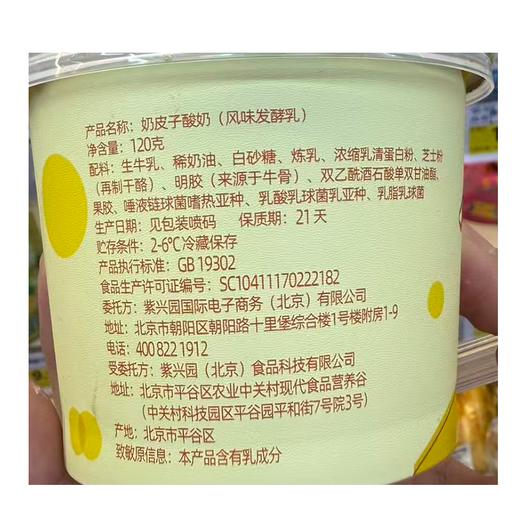 T紫光园120g原味奶皮子酸奶 商品图2