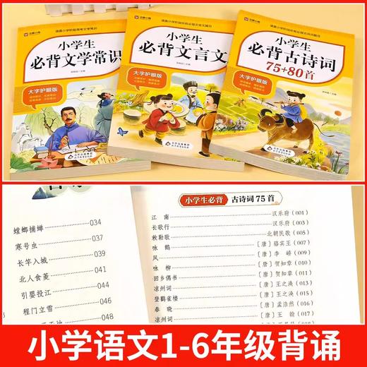 2026适用小学生必背古诗词75首十80首必背文言文，必背文学常识人教版小学语文古诗文全解一本通 商品图3