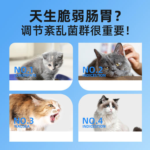 麦斯蒂后生元益生菌片200粒猫咪肠胃保健品狗狗营养补充剂益生菌 商品图1