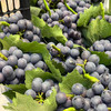 新鲜水果 丹江口南太湖无籽葡萄9.9元/斤(称重退差，多退少补) 商品缩略图0