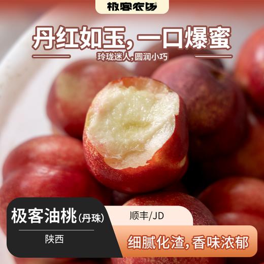 【排单发货】极客油桃（丹珠） | 细微化渣，香味浓郁，软硬两吃，圆润小巧，到货偶尔会有稍微变软的情况，是自然成熟了，不影响食用，介意慎拍⭐️顺丰/京东快递随机 商品图0