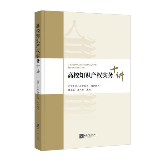 高校知识产权实务十讲 商品图0