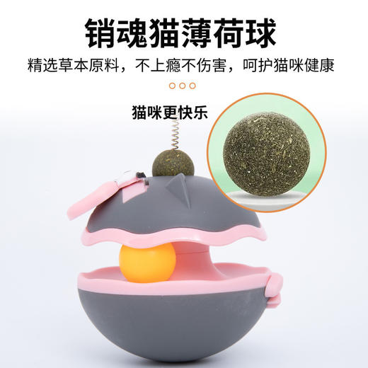 不倒翁猫咪玩具解闷自嗨逗猫转盘宠物用品轨道球猫薄荷球猫猫玩具 商品图2