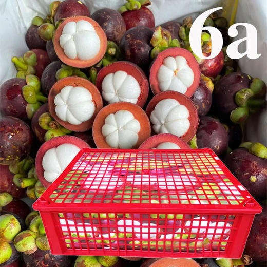 6A山竹(件装) 14斤/件 商品图0