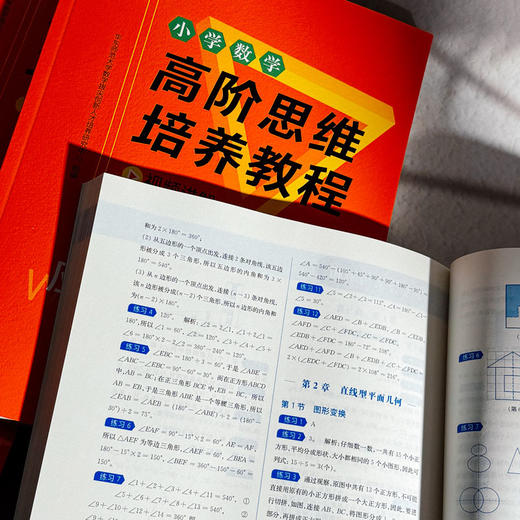 小学数学高阶思维培养教程 几何 计数 计算 数论 行程 应用题 拔尖筑基系列 数学思维能力训练 商品图14