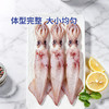 MM 山姆 东山小管（笔管鱿鱼）650g 商品缩略图3