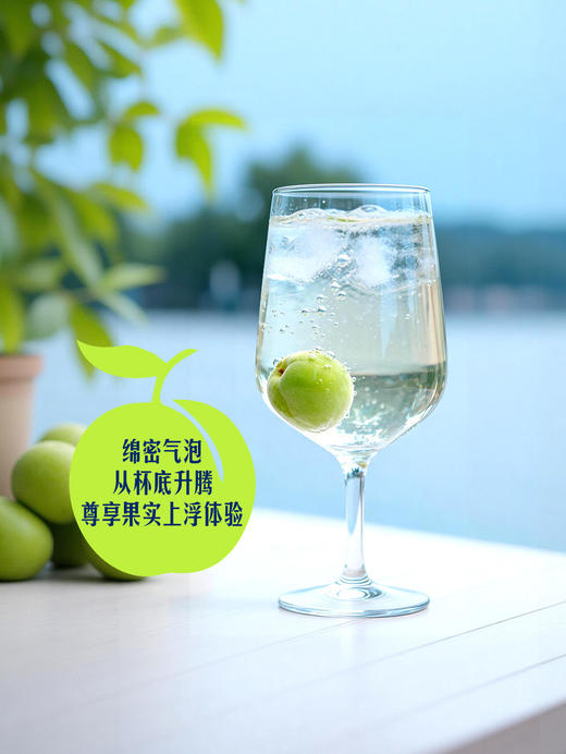 MM 山姆 红动 气泡青梅发酵酒 318ml*8 商品图4