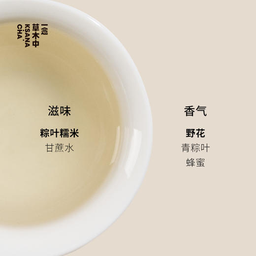 【新茶补货】2026暮成雪·福鼎寿眉｜200g/饼 | 白茶类 商品图2