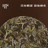 【新茶补货】2026暮成雪·福鼎寿眉｜200g/饼 | 白茶类 商品缩略图1
