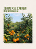 MM 山姆 韩国进口 100%韩国济州岛柑橘汁 180ml*12/24 商品缩略图2