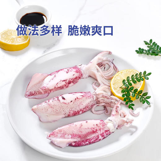 MM 山姆 东山小管（笔管鱿鱼）650g 商品图4
