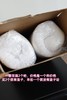 出口美单元单 凉感亲肤面料！柔软护颈慢回弹记忆棉深睡枕  PJ107 商品缩略图4