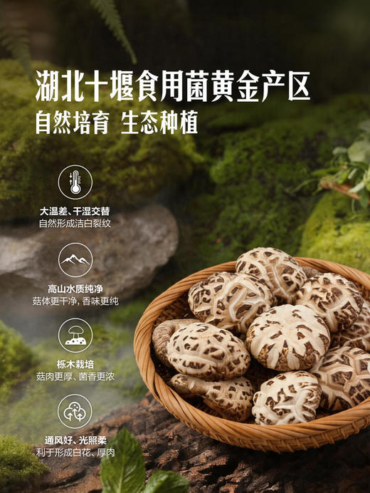 MM 山姆 Member's Mark 有机厚肉白花菇 300g 商品图2