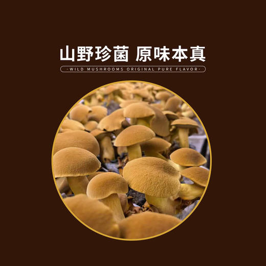 MM 山姆 有机黄牛肝菌 200g 商品图1
