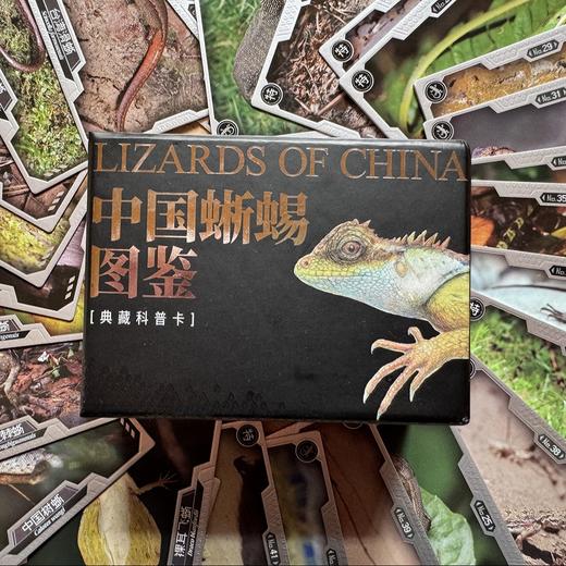 “中国蜥蜴图鉴【主题卡牌】” 爬友爬虫爱好者典藏 科普收藏卡 海峡书局【官方正版 48小时发货】 商品图1