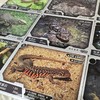 “中国蜥蜴图鉴【主题卡牌】” 爬友爬虫爱好者典藏 科普收藏卡 海峡书局【官方正版 48小时发货】 商品缩略图2
