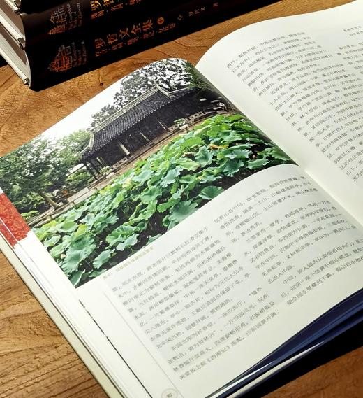《罗哲文全集》，罗哲文先生著，16开仿皮书脊，锦面精装，四色印刷，一函十册约4500页，净重45斤左右，北京美术摄影出版社2016年10月初版。原价5800，售价980 商品图10