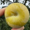 四川 蜂糖李【预售 28号左右发货】 商品缩略图1