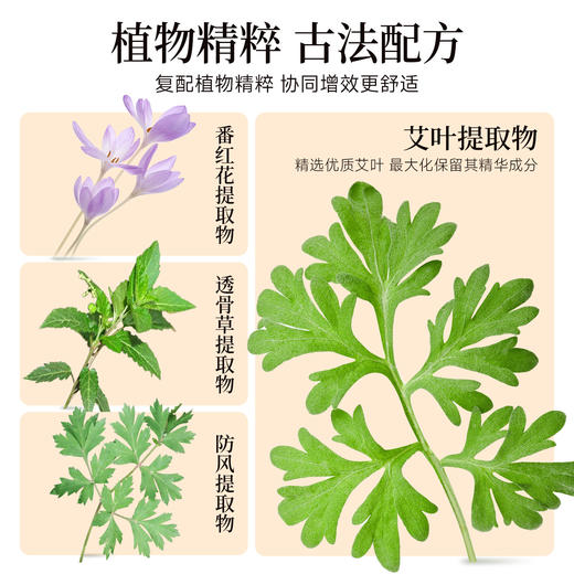 【永安虎标】艾灸精华原液 香港百年老品牌 50ml/瓶 商品图3