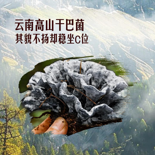 MM 山姆 滇味烩炒干巴菌（炒菌料组合）244g 商品图2
