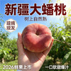 新疆大蟠桃 树上自然熟 甜软多汁 皮薄易剥 核小肉厚 当季新鲜水果 商品缩略图4