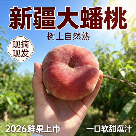 新疆大蟠桃 树上自然熟 甜软多汁 皮薄易剥 核小肉厚 当季新鲜水果 商品图4