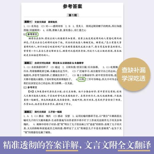周计划初中语文阅读高效训练五合一七八九年级现代文文言文古诗名著阅读答题技巧提分教辅中考阅读题型专项强化练 商品图3