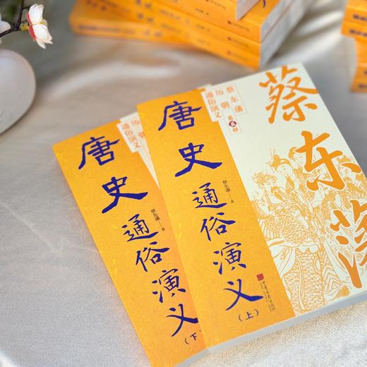 《蔡东藩历朝通俗演义》（全21 册） | 横跨秦汉到民国 11 个朝代，写尽中华两千余年风云变幻，被学界盛赞 “一代史家，千秋神笔” 商品图1