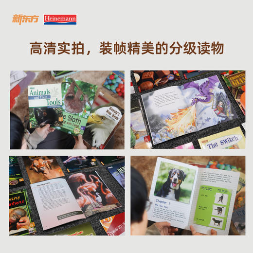 【新东方大愚】海尼曼英语分级阅读系列 商品图8