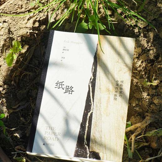 纸路:植物学家的中国西南探险 商品图2
