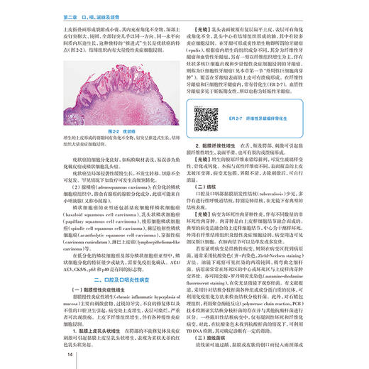 刘彤华诊断病理学 第5五版 梁智勇 陈杰 丁华野 主编 涵盖病理学诊断总则及人体各器官系统疾病的病理诊断知识 人民卫生出版社 商品图4
