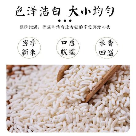 【YMHR】江米 商品图2