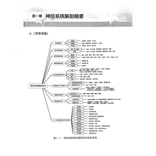 神经重症护理手册 神经科护士入门系列 袁媛 蔡卫新 张冉 主编 本书适合各级医疗机构神经科新人职护士参考学习中国医药科技出版社 商品图4