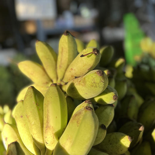 生态芭蕉果醋 自然发酵*云南柠檬君基地直发 商品图4